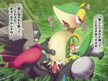 [Kikunyi] 【弱肉強姦】メガルカリオ、ツタージャ、オンバーン Fhentai - Page 3