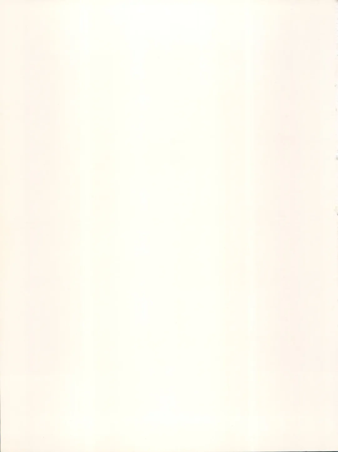 Non Demo-R Onihei Fhentai - Page 107