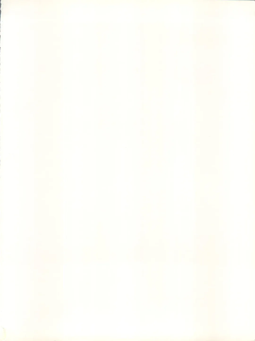 Non Demo-R Onihei Fhentai - Page 2