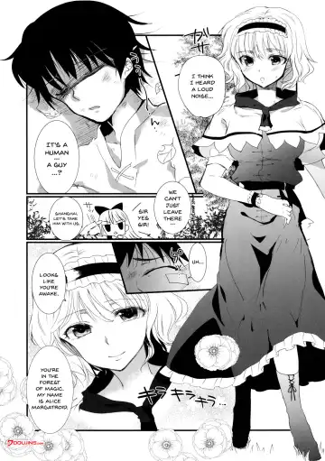 [Narumi] Inran Alice | Lewd Alice Fhentai - Page 3