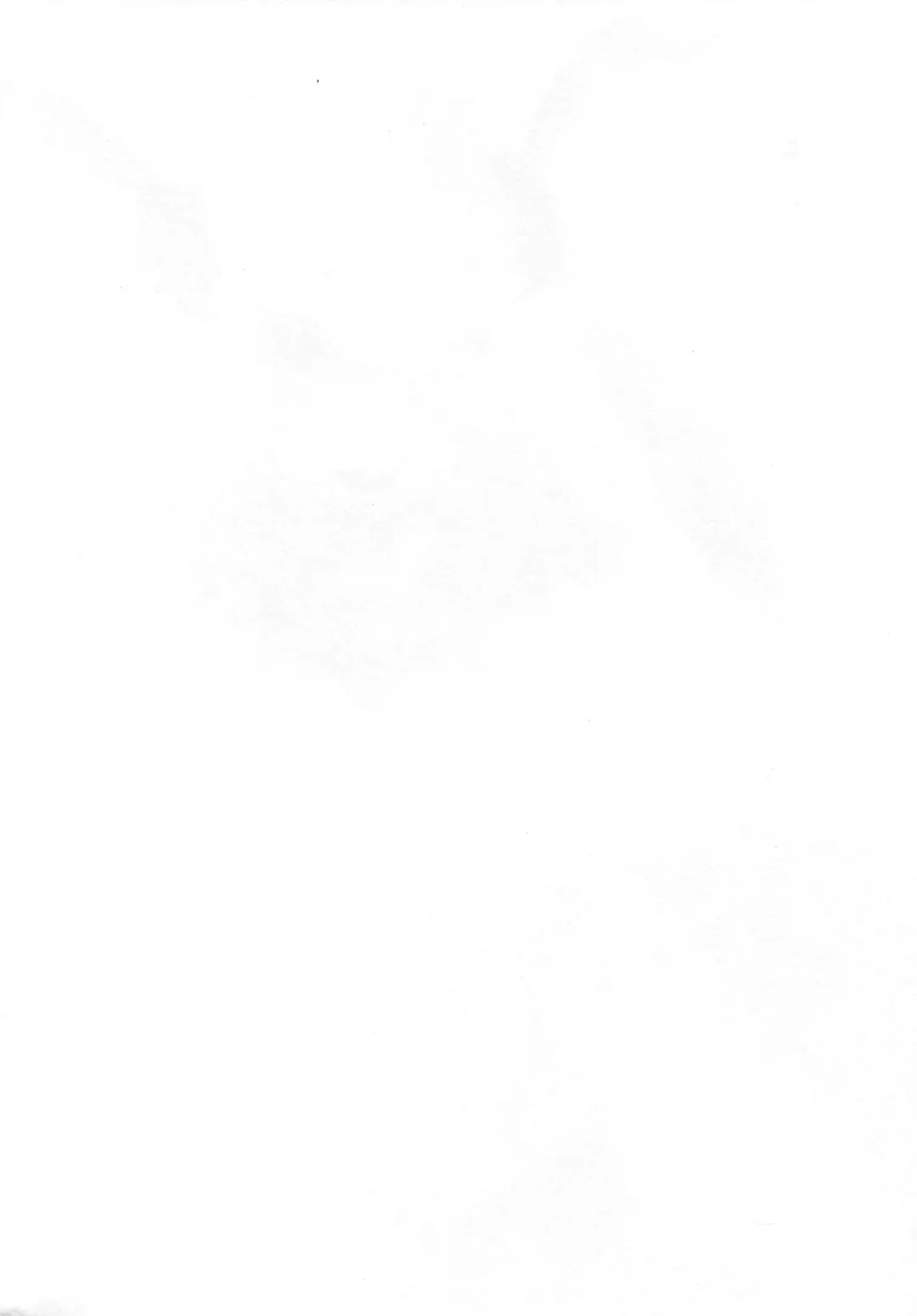 [Solopipb] Shiragasane -Tojinawa- Fhentai - Page 3