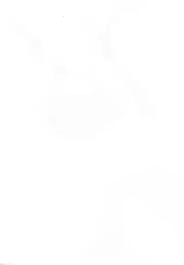 [Solopipb] Shiragasane -Tojinawa- Fhentai - Page 3