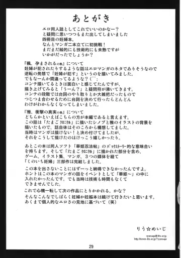 [Ryumage] Ninshin Shinobu Densetsu Fhentai - Page 28