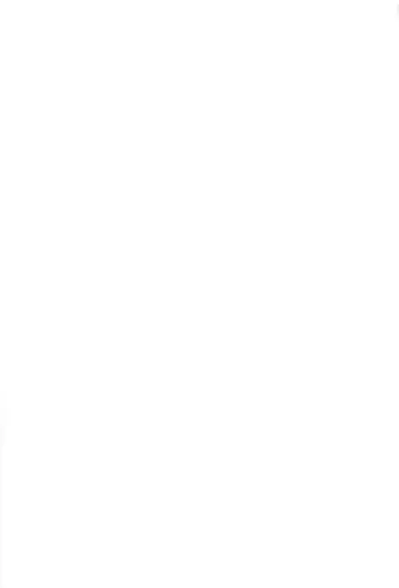 [Aoreyo] Abnormal Servant Vol. 1 Fhentai - Page 34