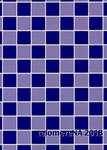 [Gustav] Koyoi Gohoushi ni Mairimasu Fhentai - Page 30