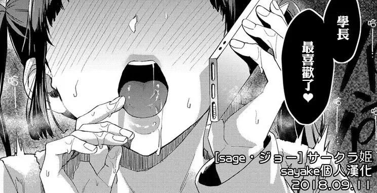 [Sage Joh] Sakurahime Fhentai - Page 24