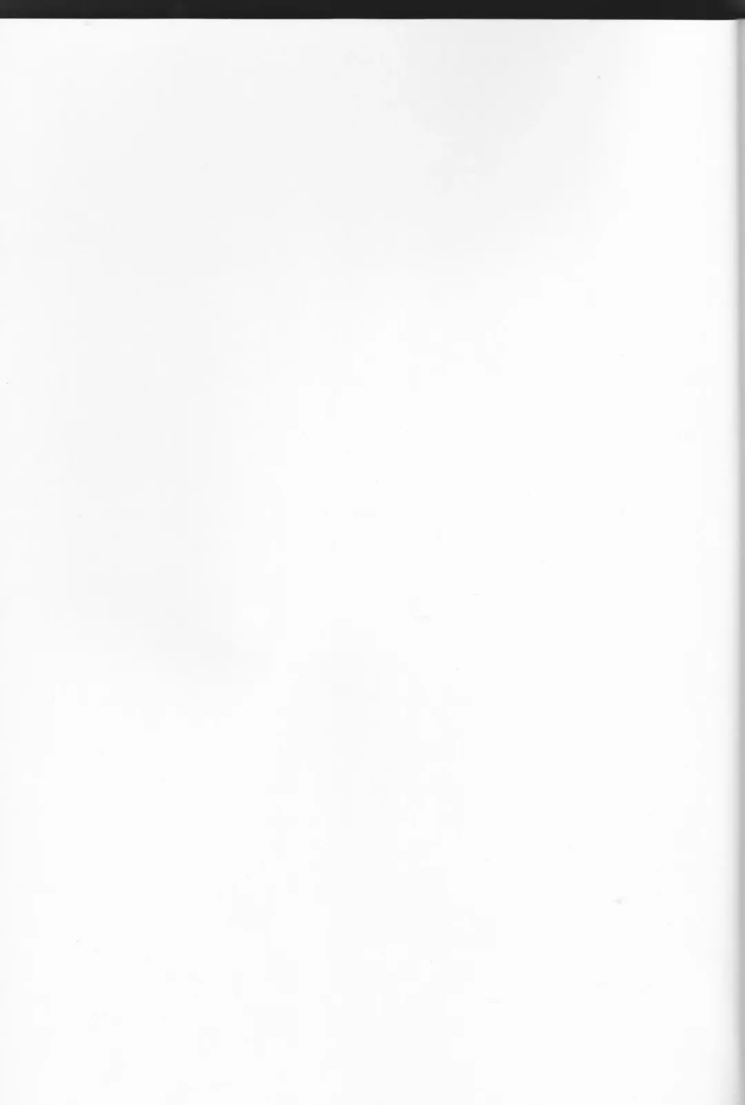 [Mitori Iro] Hakuro ochiru Fhentai - Page 2