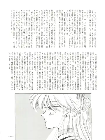 [Akagi Juro - Cosmashiva - Kat] Spirits of Sailors! Fhentai - Page 33