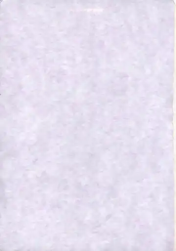 [Todd Oyamada] Kawaii Hito Fhentai - Page 2