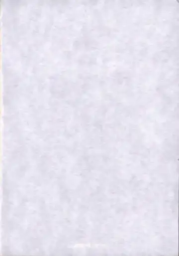 [Todd Oyamada] Kawaii Hito Fhentai - Page 3