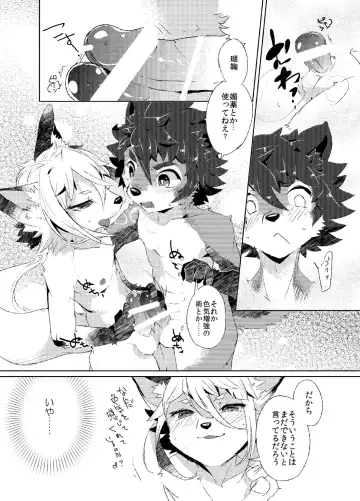 [Shiroi] Korimuchuu Fhentai - Page 14