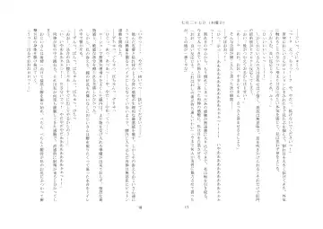 [Zeno] Kyouiku Kyouzai Sanaesan 2 Fhentai - Page 24