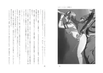 [Zeno] Kyouiku Kyouzai Sanaesan 2 Fhentai - Page 25