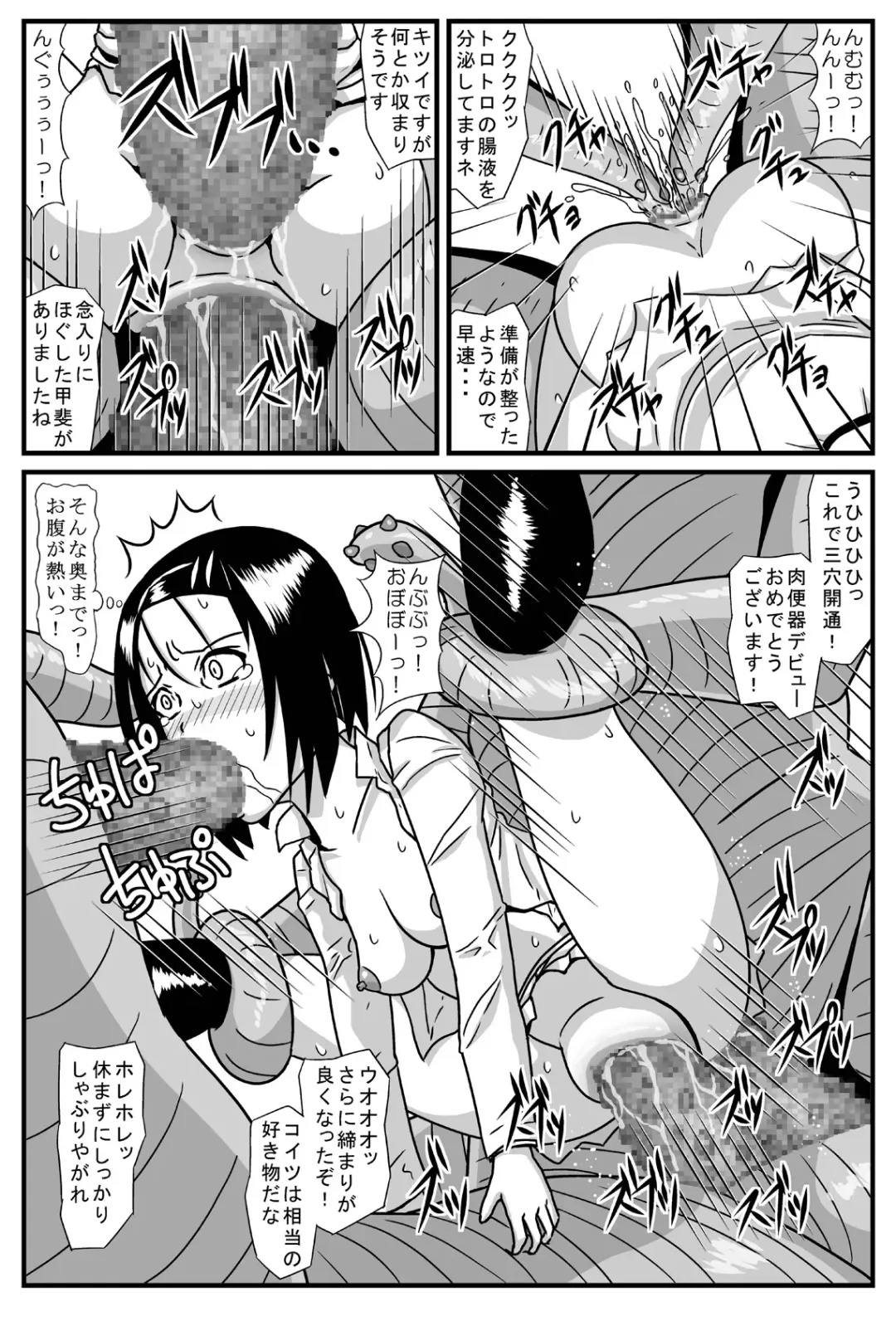 [Rivaliant] Toraburi Fhentai - Page 15