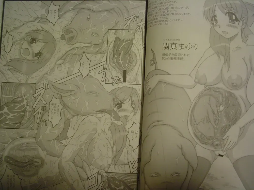 [Hans. - Yamata No Worochi] Beast pregnancy 3 Fhentai - Page 2