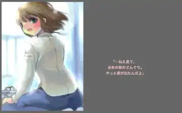 [Silhouette Sakura] Green Acorn Fhentai - Page 25