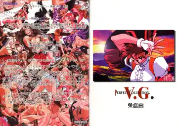 [Kimura Takahiro] V.G.Perfect Collection Illustrations Fhentai - Page 18