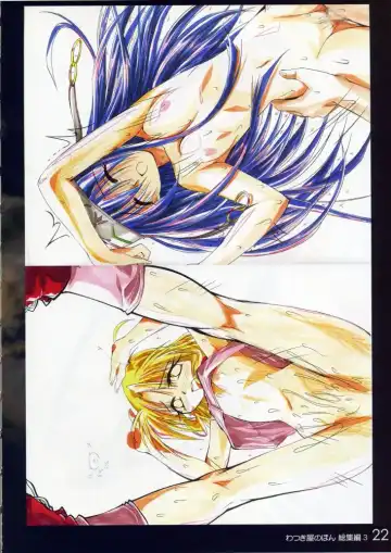 [Watsuki Ayamo] Watsukiya no Hon Soushuuhen 3 Fhentai - Page 21