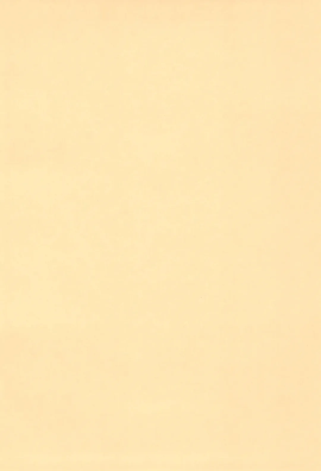 [Nekousa] Chen to Issho -Ohirune mo Issho- Fhentai - Page 26