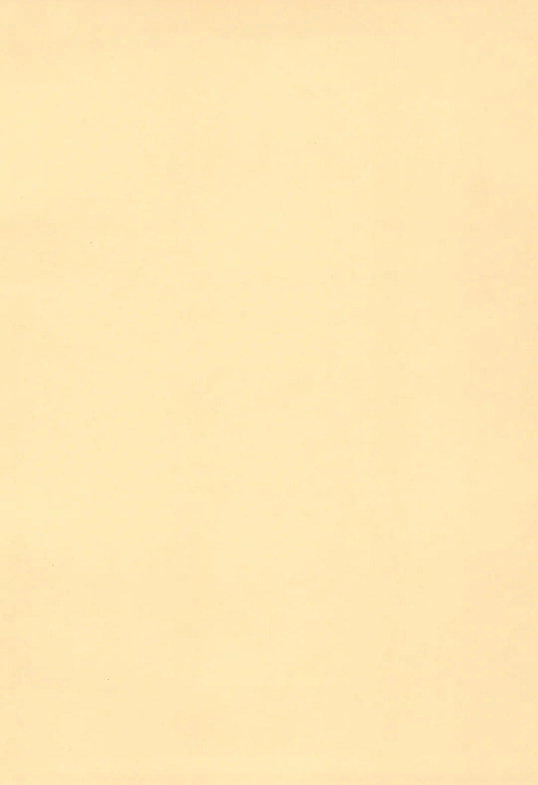 [Nekousa] Chen to Issho -Ohirune mo Issho- Fhentai - Page 4