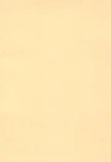 [Nekousa] Chen to Issho -Ohirune mo Issho- Fhentai - Page 26