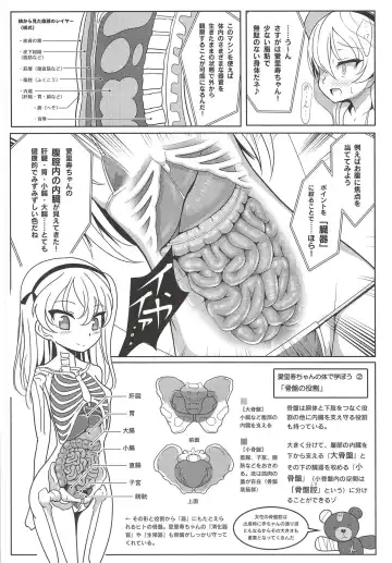 [Sekai Saisoku No Panda] Shimada Arisu-chan de Manabu Onnanoko no Jintai <Kotsuban Hen> Jou Fhentai - Page 11