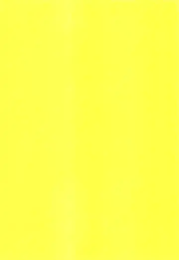 [Saiga Mayu - Tanaka Rin] YELLOWCHERRY,MIDNIGHTBLUE Fhentai - Page 20