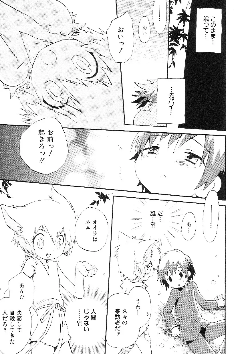 Shota Mimi Love Vol. 3 Fhentai - Page 11