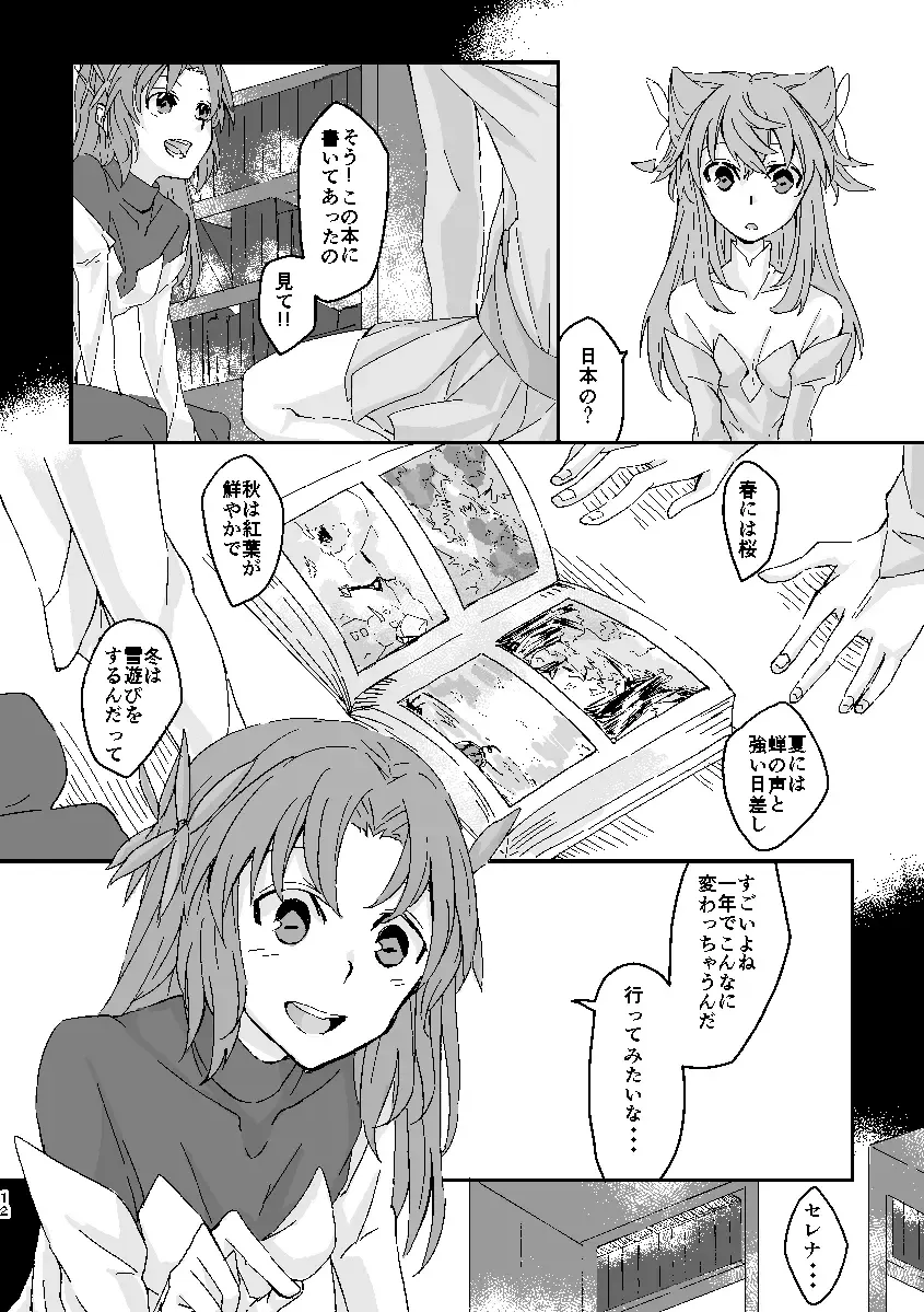 [Futoo] Schimmer Fhentai - Page 11