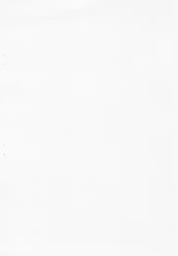 [Hamatyonn - Soine] Tsuiteru. Fhentai - Page 2