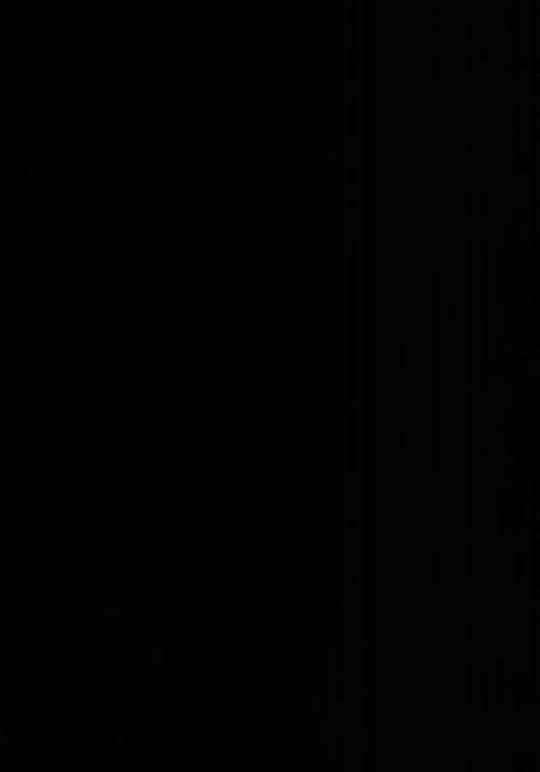 [Abi Kamesennin - Hirame] CHALDEA MANIA - Jeanne Alter (uncensored) Fhentai - Page 3