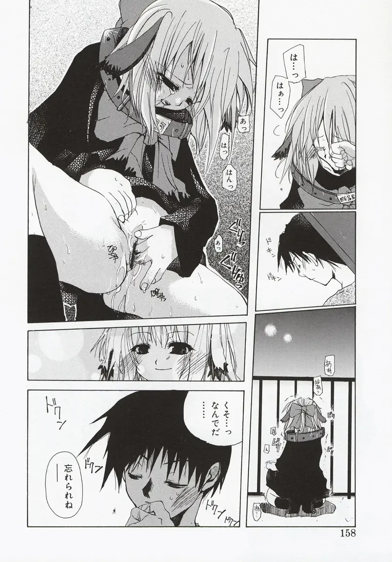 [Mizushima Sorahiko] Koi no Hanakobako Fhentai - Page 156