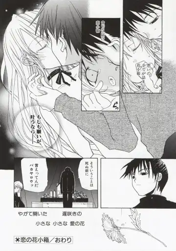 [Mizushima Sorahiko] Koi no Hanakobako Fhentai - Page 176