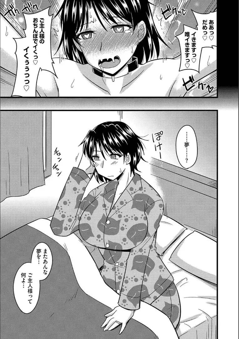 [Kamiya Ogawa] Tanin no Tsuma no Netorikata Fhentai - Page 64