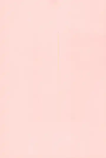 PONPONPON!×2 Fhentai - Page 3