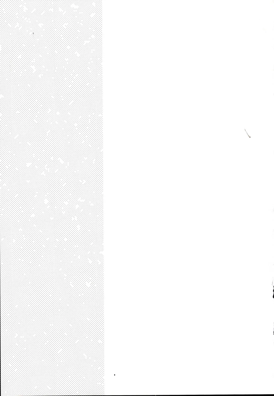 [Shinachiku] Kimi ga Suki Fhentai - Page 40