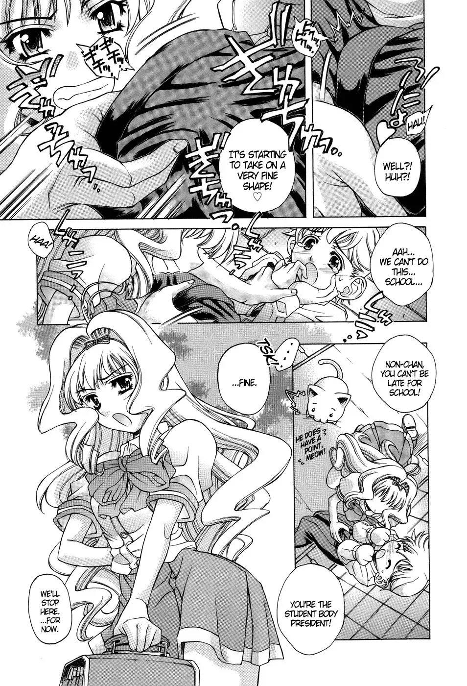 [Akitsuki Hirozumi] Ane Ane Mix Fhentai - Page 31