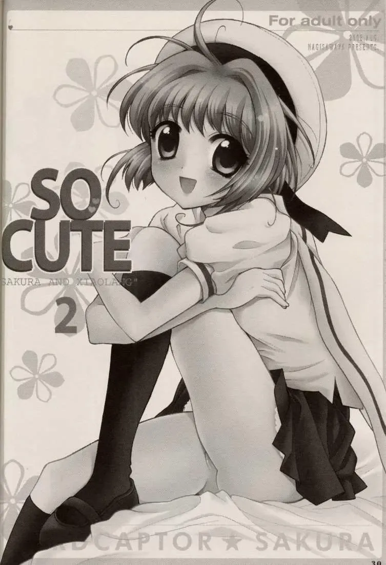 [Nagisawa You] CHERRY BLOSSOM Fhentai - Page 30