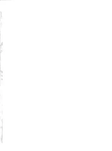 [Raidon] Batsugunda! Guresuke Shinsouban Fhentai - Page 2