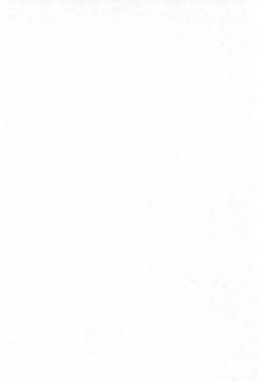 [Imaki Hitotose] Touhou Pantsu Fhentai - Page 4