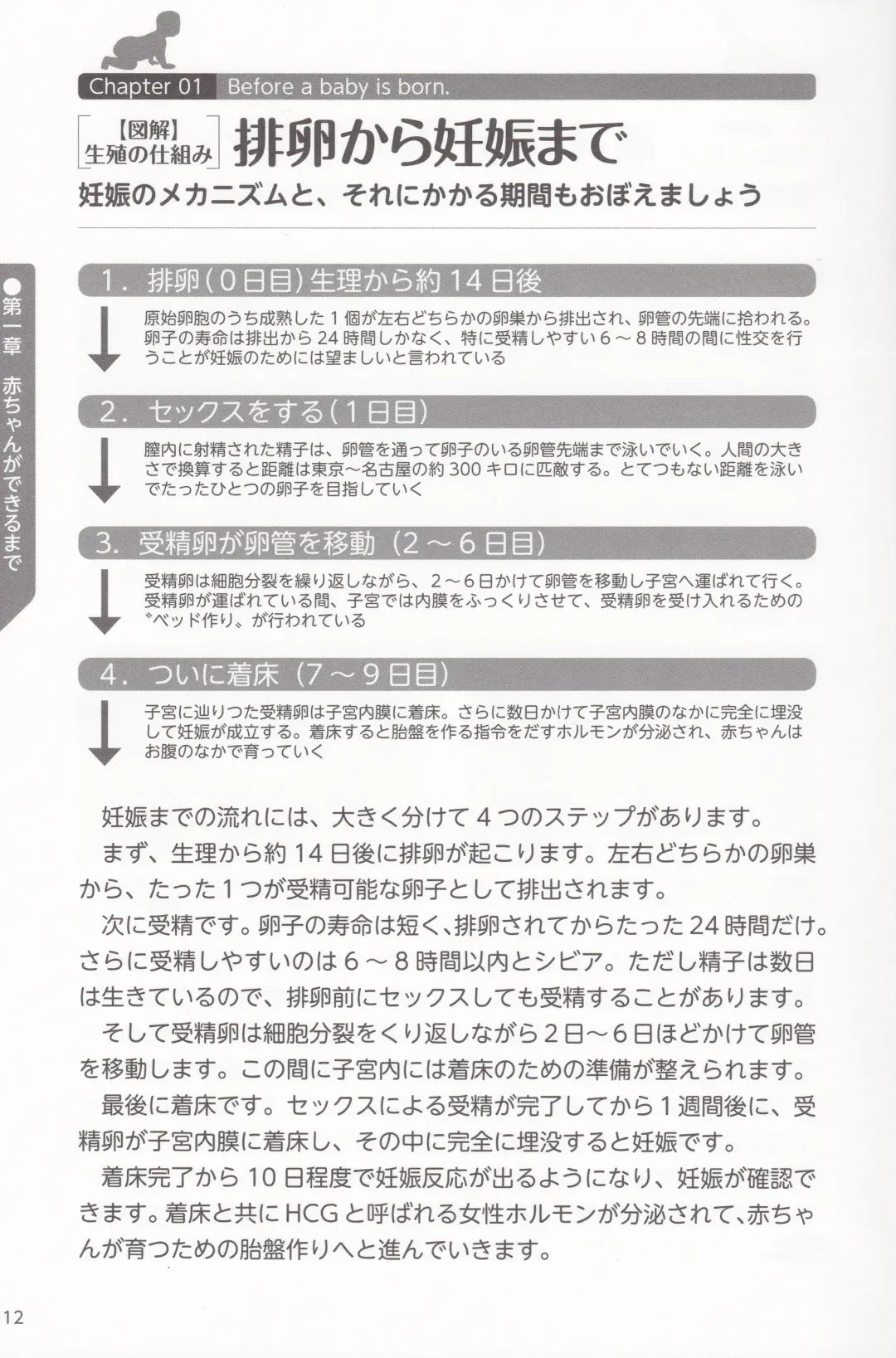 やらなくても解る性交と妊娠詳細解説 赤ちゃんのつくり方 Fhentai - Page 14