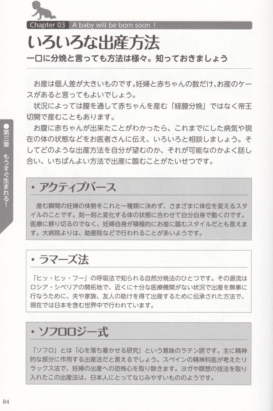 やらなくても解る性交と妊娠詳細解説 赤ちゃんのつくり方 Fhentai - Page 87