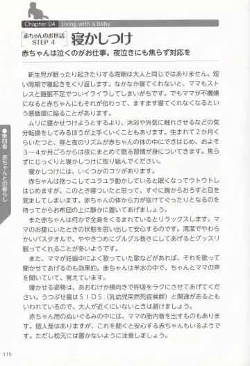 やらなくても解る性交と妊娠詳細解説 赤ちゃんのつくり方 Fhentai - Page 113