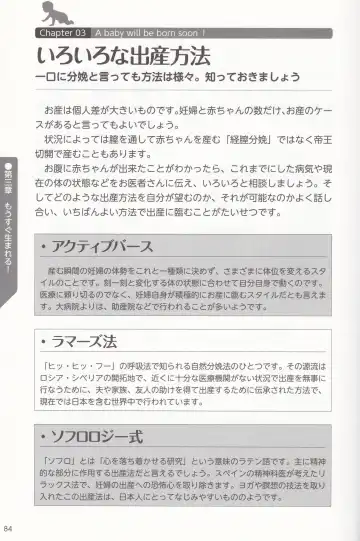 やらなくても解る性交と妊娠詳細解説 赤ちゃんのつくり方 Fhentai - Page 87