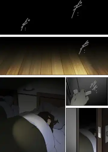 [Junk Kameyoko] Ryoushin ga Neteiru Shinshitsu ni Shinobikomi, Hahaoya ni Yobai o Kakeru Musuko no Hanashi. Fhentai - Page 10