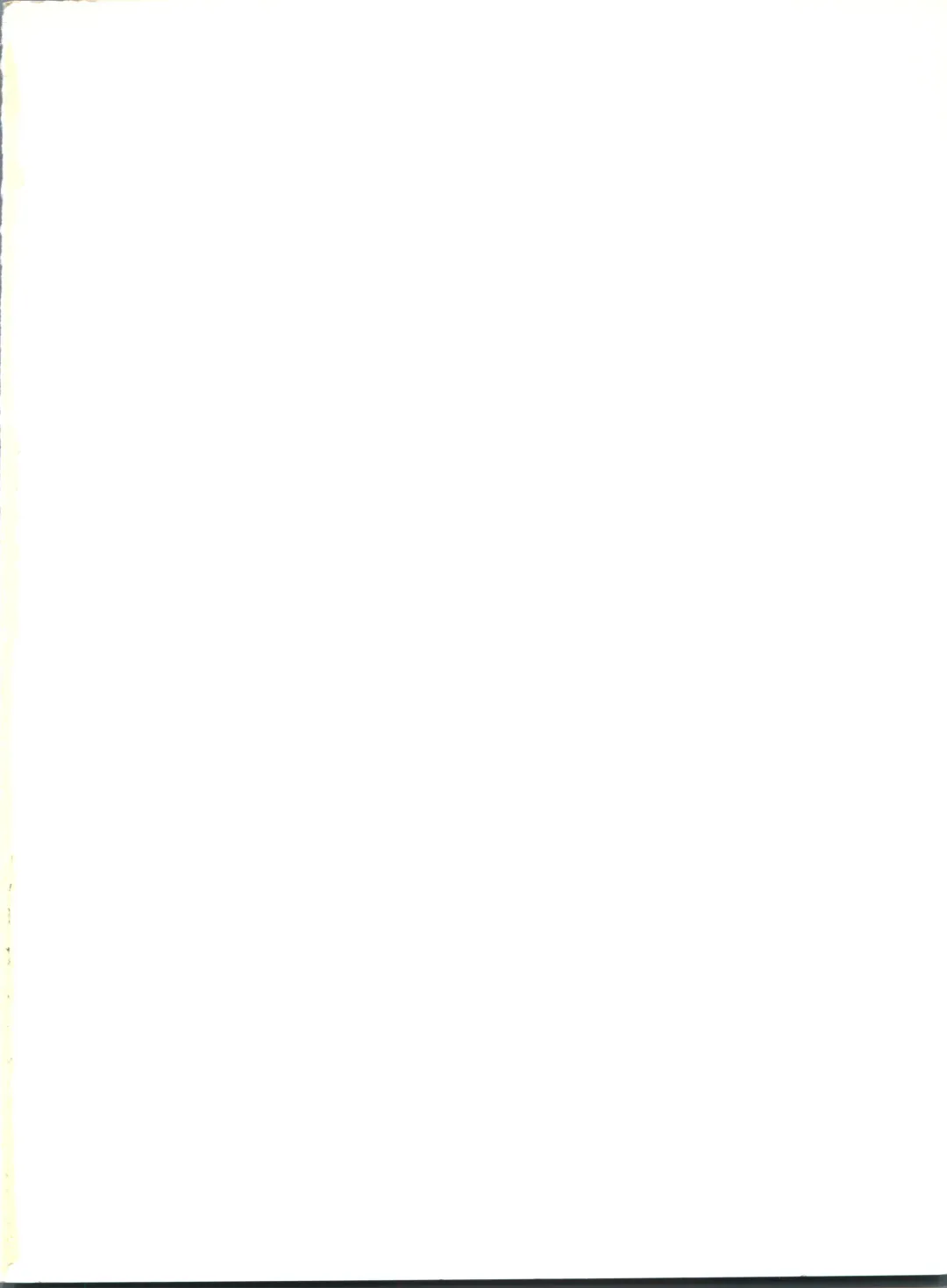 [Igarashi Yuu - Kiryuu Reia - Shimano Ayumi] Kuu Nyang Fhentai - Page 2