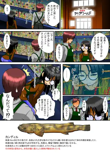 Chitsu Hakai-kei Joshi 4 Fhentai - Page 12