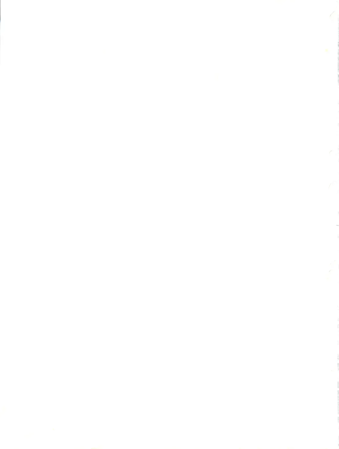 NANIWA-YA FINAL DRESS UP! Fhentai - Page 115