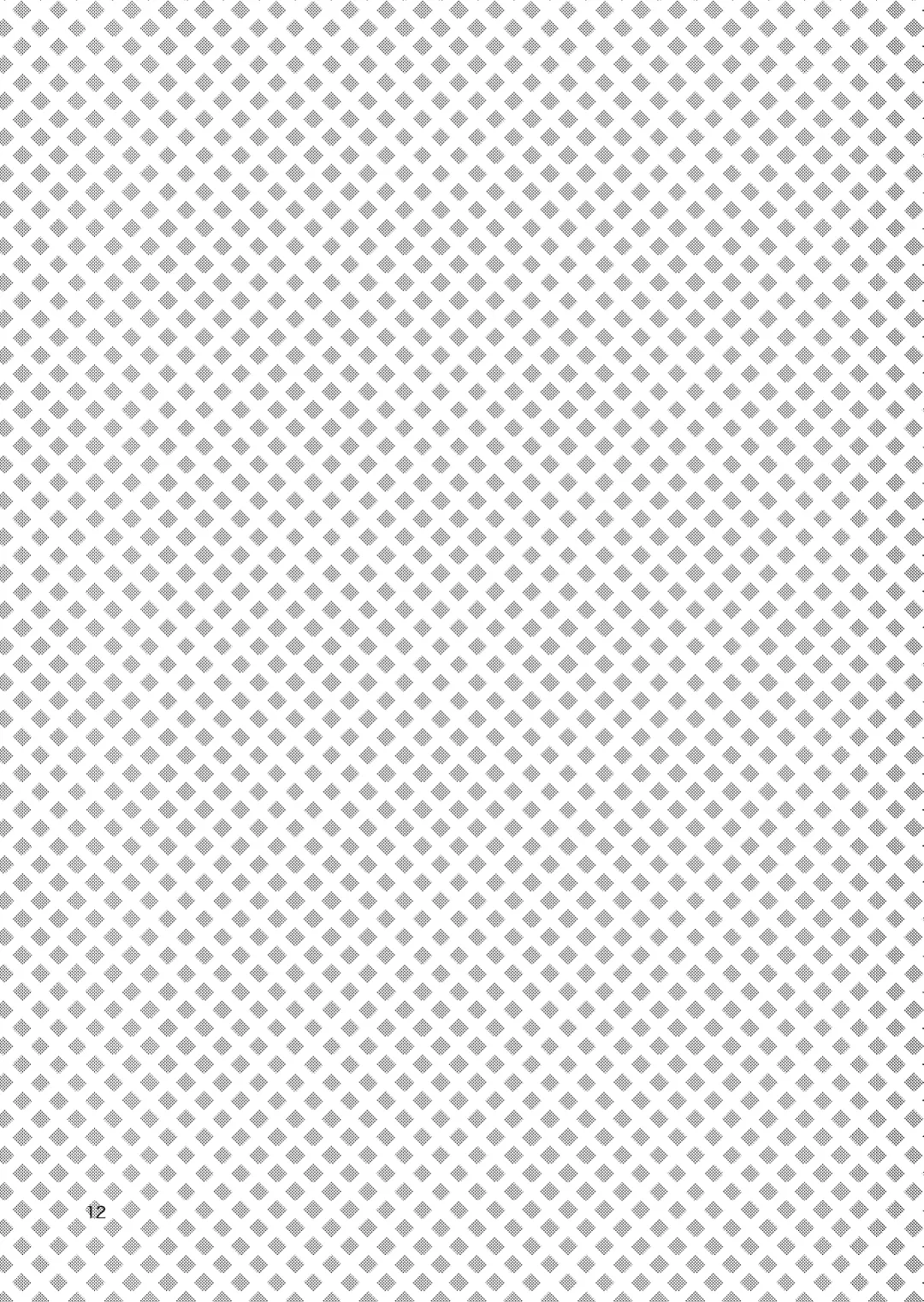 [10nin] B&B Fhentai - Page 12