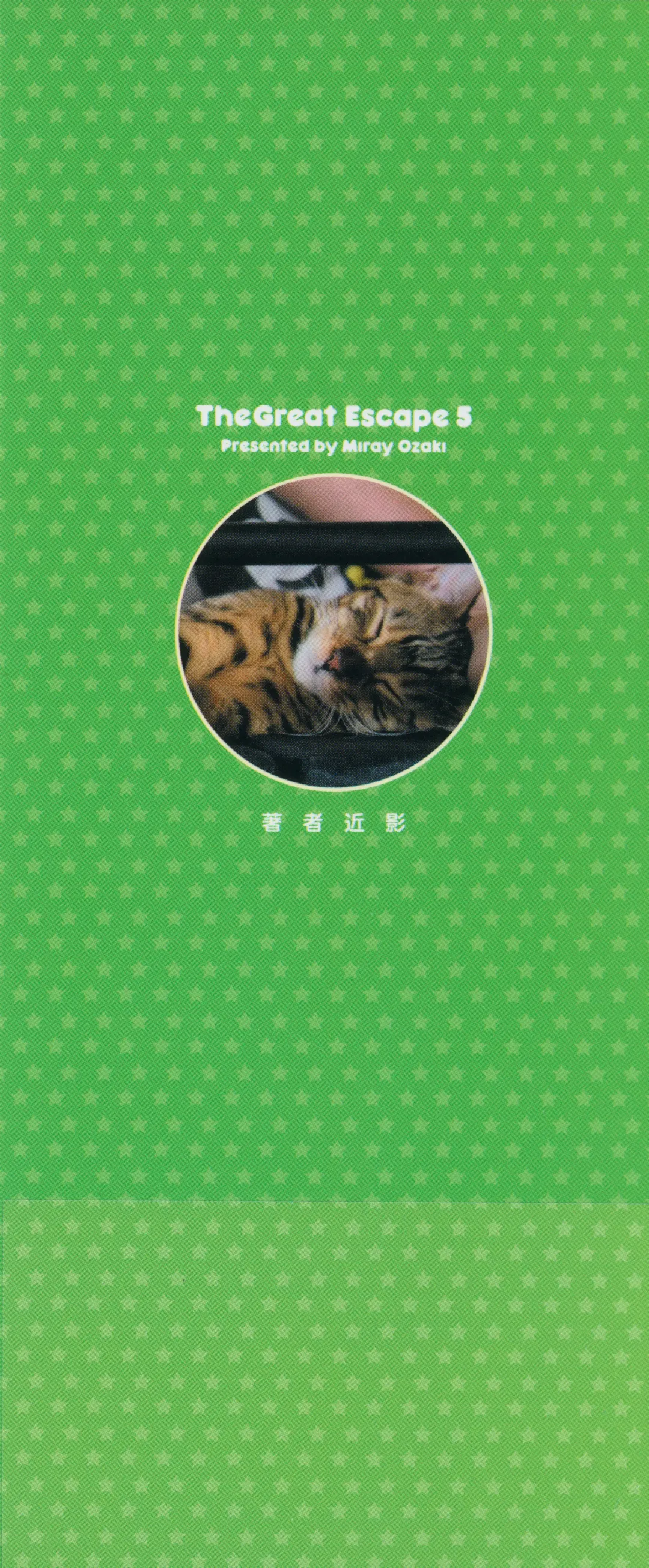 [Ozaki Miray] The Great Escape 5 Fhentai - Page 3